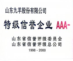 特级诺言企业AAA-