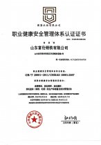 职业健康安全治理系统认证证书 18年度