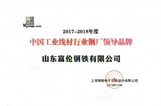 中国工业线材行业钢厂辅导品牌
