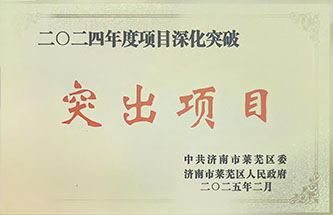 2024年度项目深入突破凸起项目