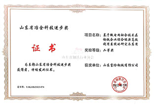 冶金科技进取奖（二等奖）
